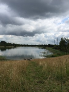 park