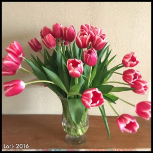 tulips